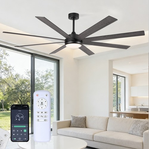 Ceiling fans with - ceiling, lights,72