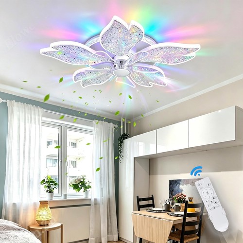 Speed ceiling fan with light - speed,