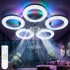 Ceiling Fans with Lights