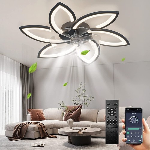 Ceiling fan with lamp - ceiling,