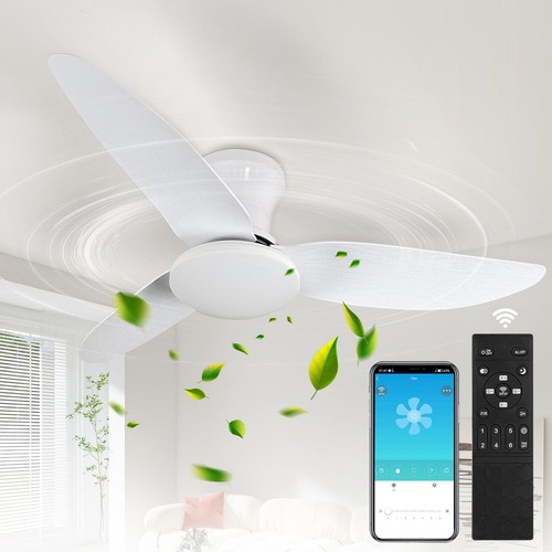 Large led ceiling fan with - ceiling,