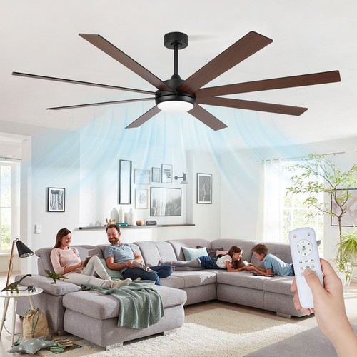 Ceiling fans with lights - fans,