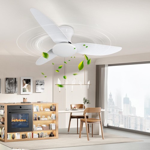 Speed large led - led, fan