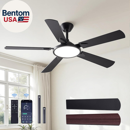 Ceiling fans with lights - fans,