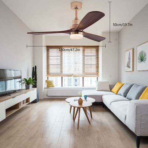 Ceiling fans with - fans, lights