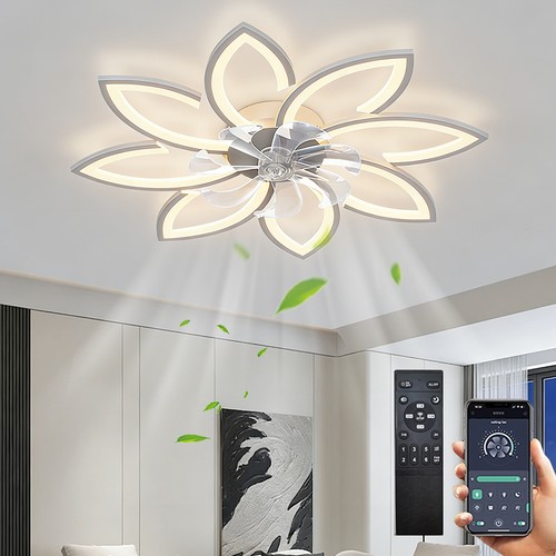 Modern fan lights flush - fan,