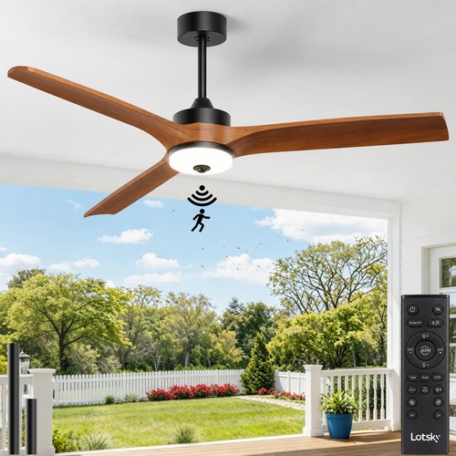 Wood blades outdoor ceiling - 3,