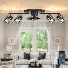 Ceiling Fans with Lights and