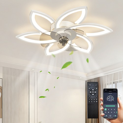 Ceiling fan with lights - ceiling,