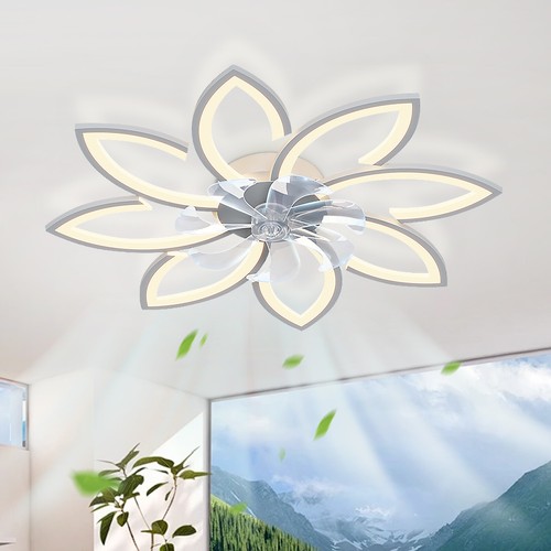 Low profile ceiling - fans, with