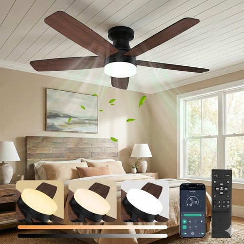 Large led ceiling fans - ceiling,