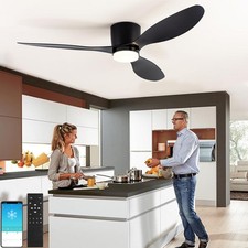 LED Ceiling Fans with Light