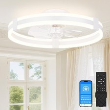 Ceiling Fans with Lights and